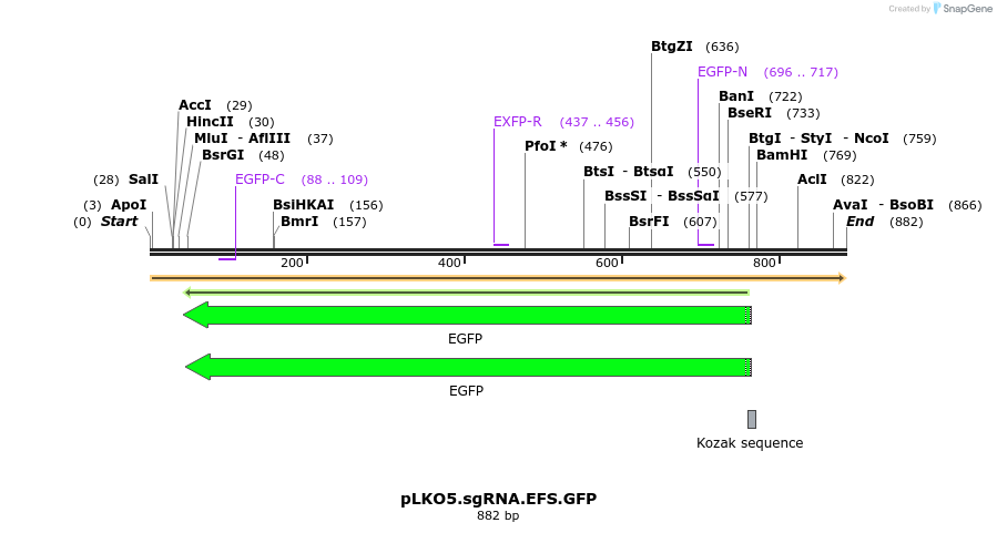 93072_map
