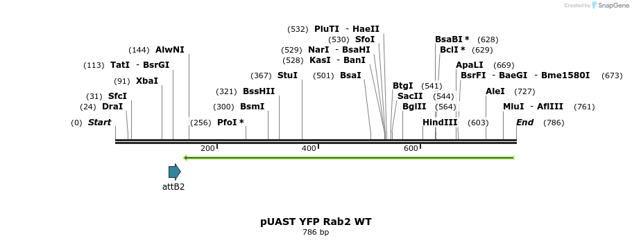 93074_map