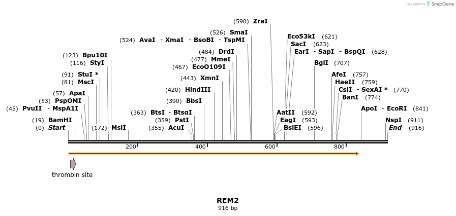 93075_map