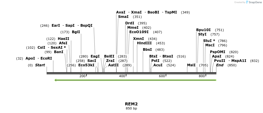 93078_map
