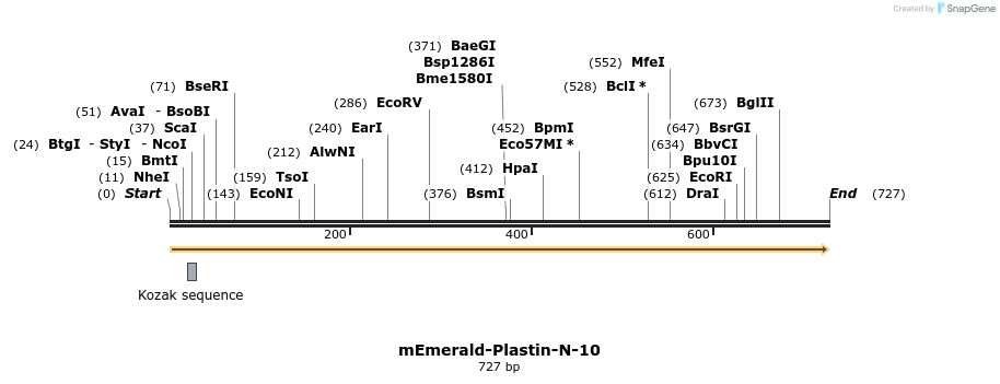 93080_map