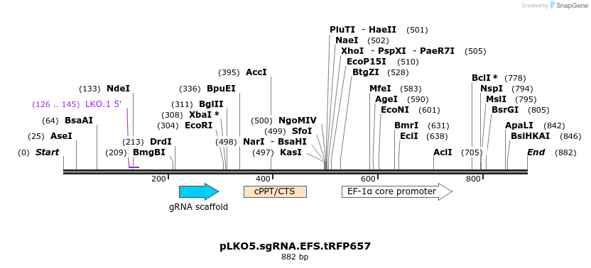 93081_map
