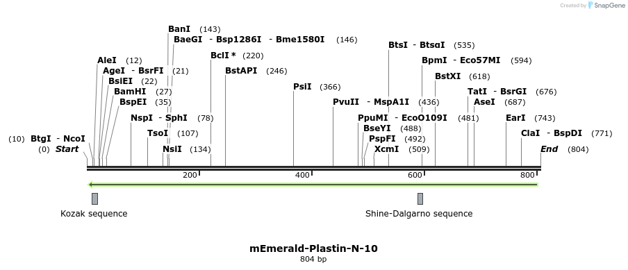 93082_map