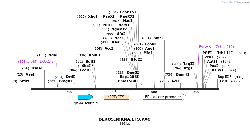 93084_map