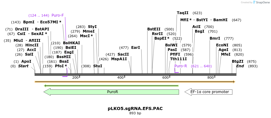 93085_map