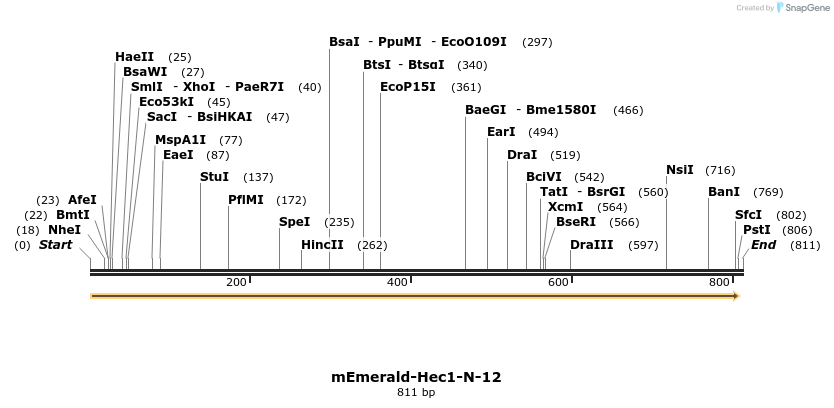 93087_map