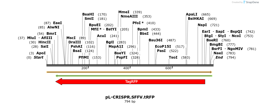 93089_map