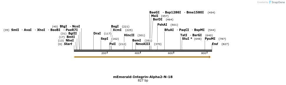 93090_map