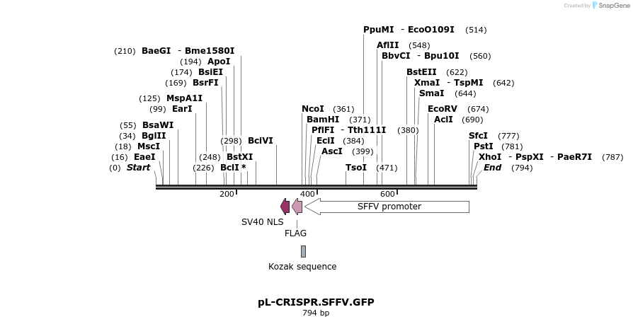 93091_map