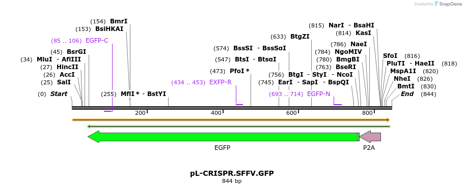 93093_map