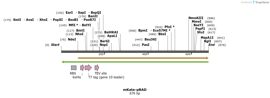 93097_map