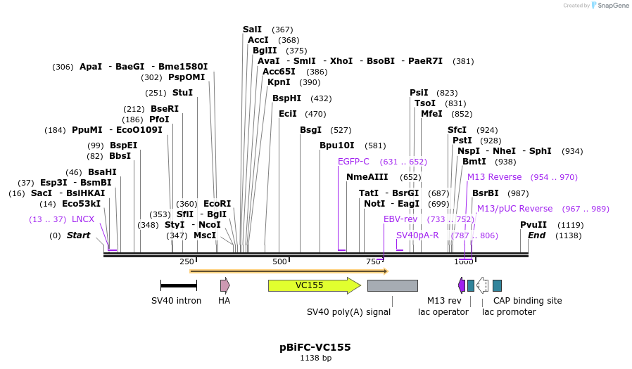 93100_map