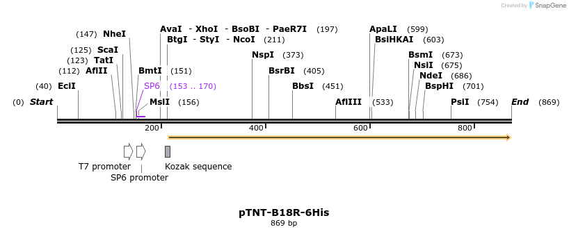 93101_map