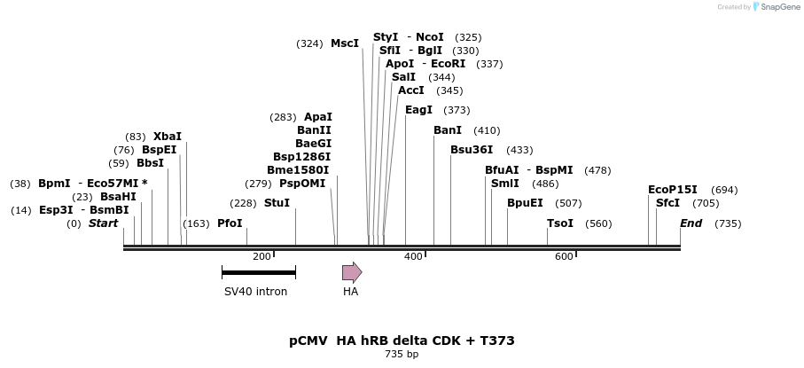 93110_map