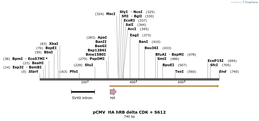 93115_map