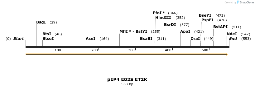93117_map