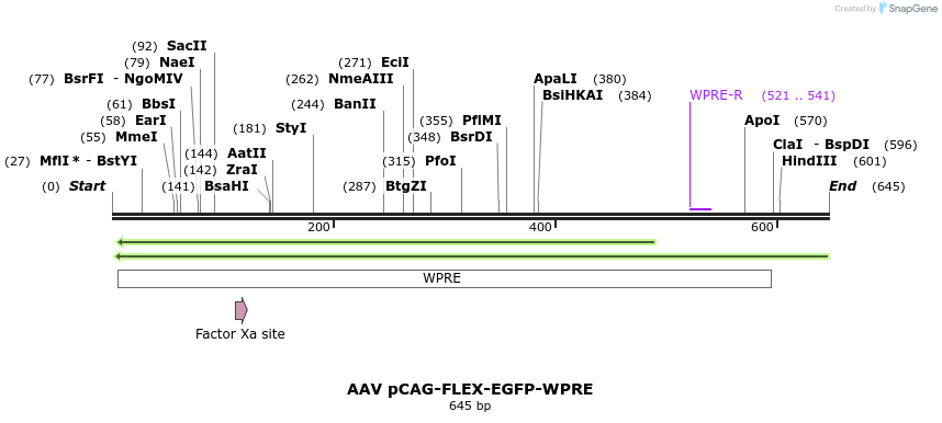 93119_map
