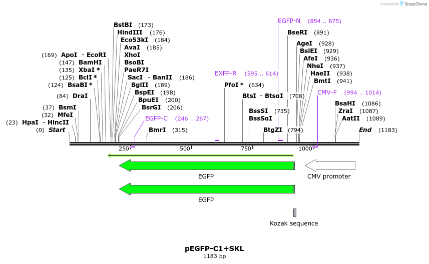 93120_map