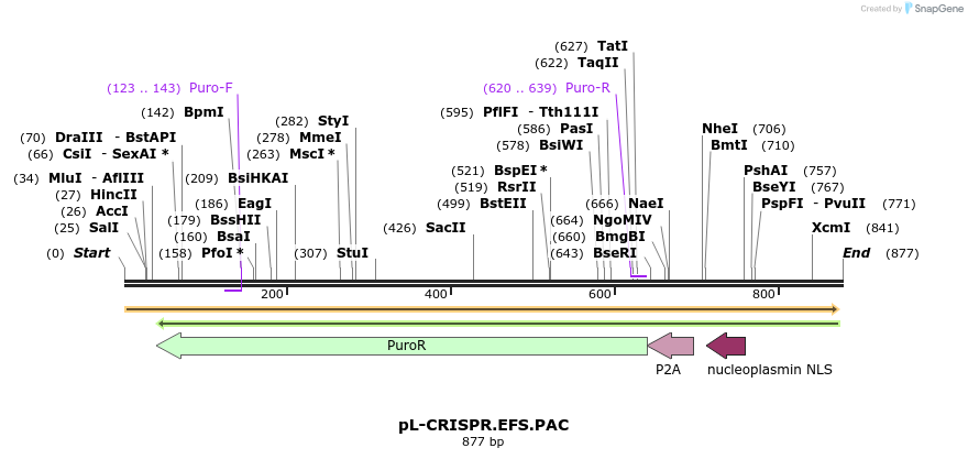 93128_map