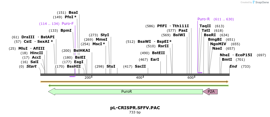93132_map