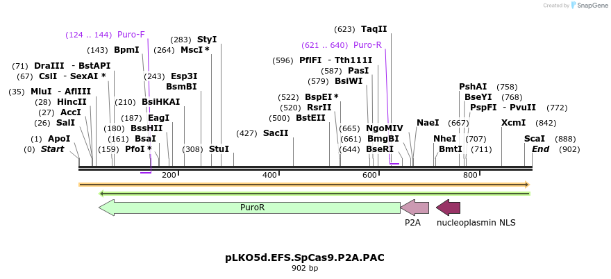 93135_map