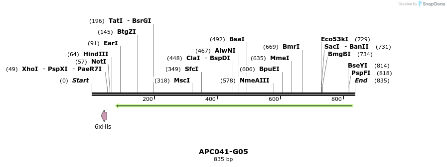 93145_map
