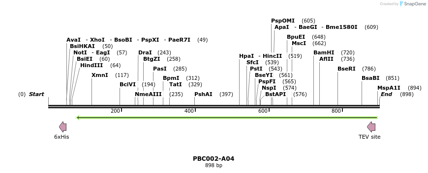 93151_map