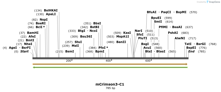 93152_map