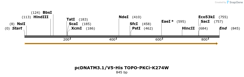 93154_map