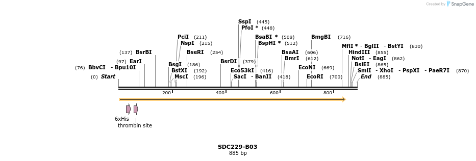 93156_map