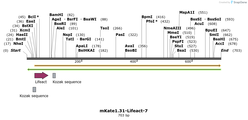 93157_map