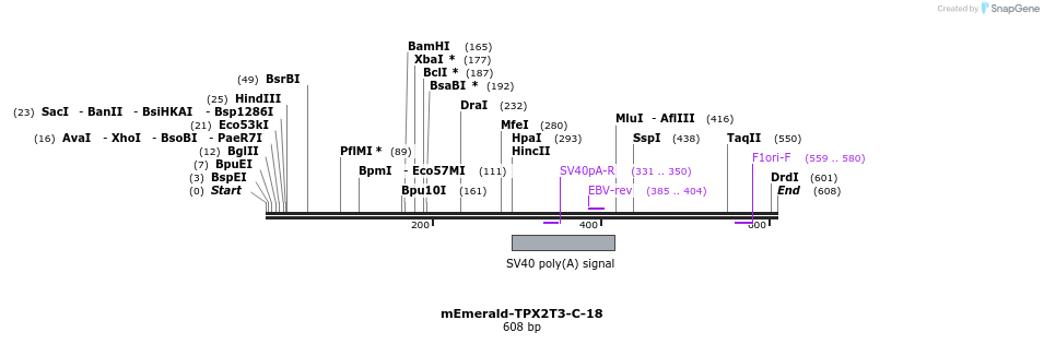 93158_map