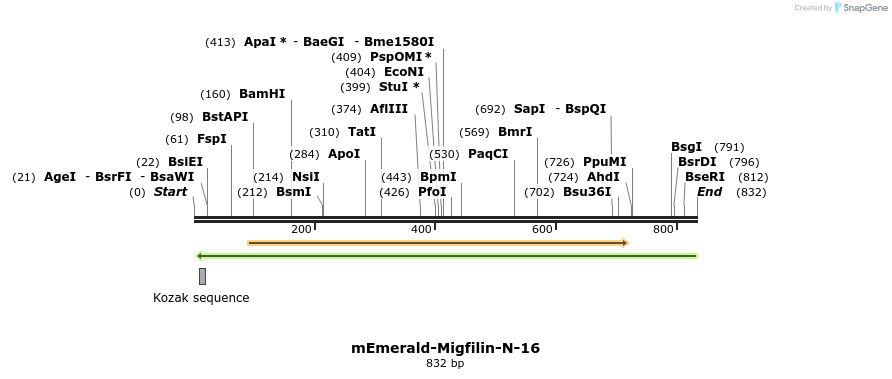 93160_map