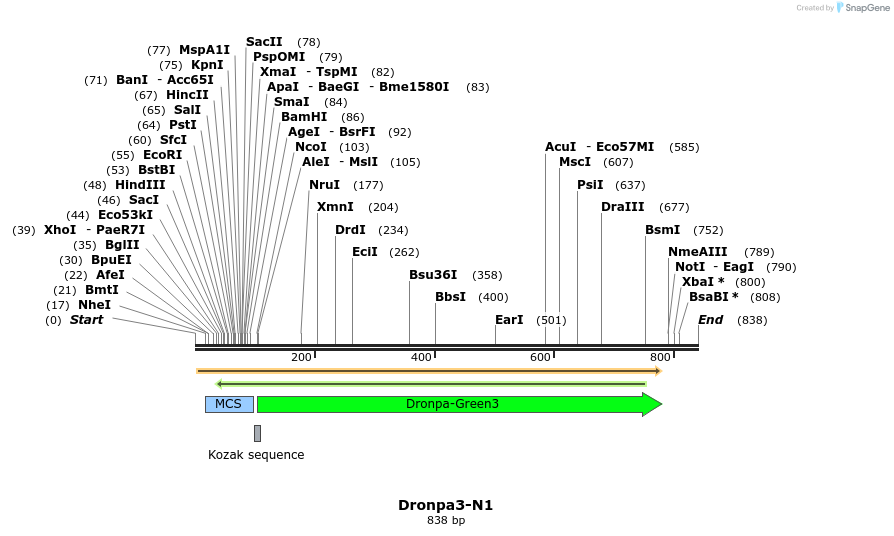 93161_map