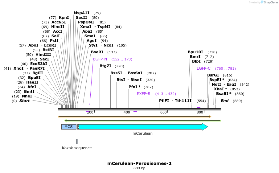 93162_map