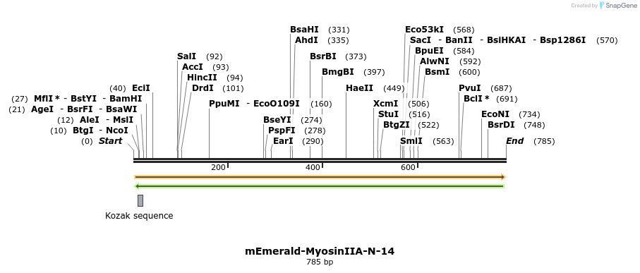 93164_map
