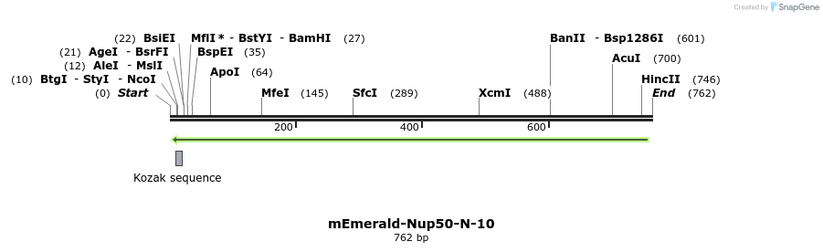 93166_map