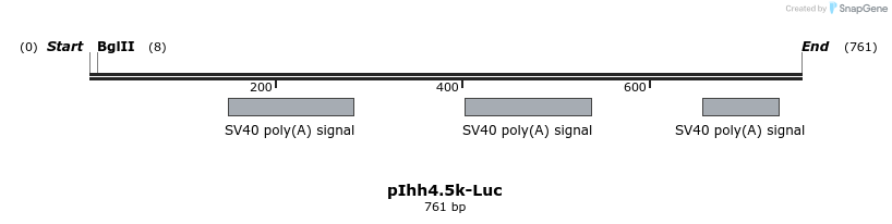 93167_map