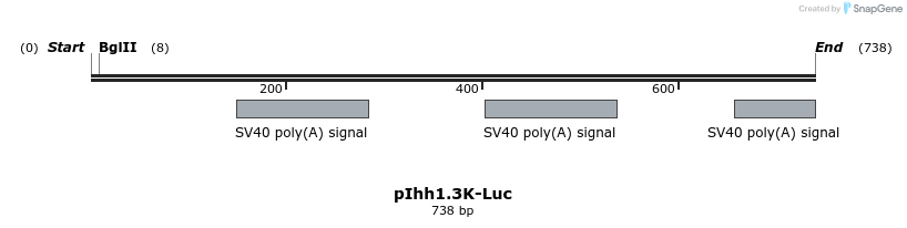 93168_map