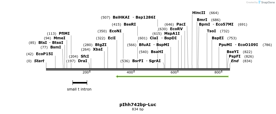 93169_map