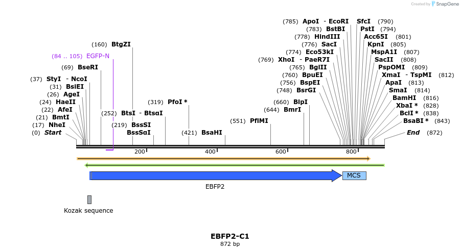 93171_map