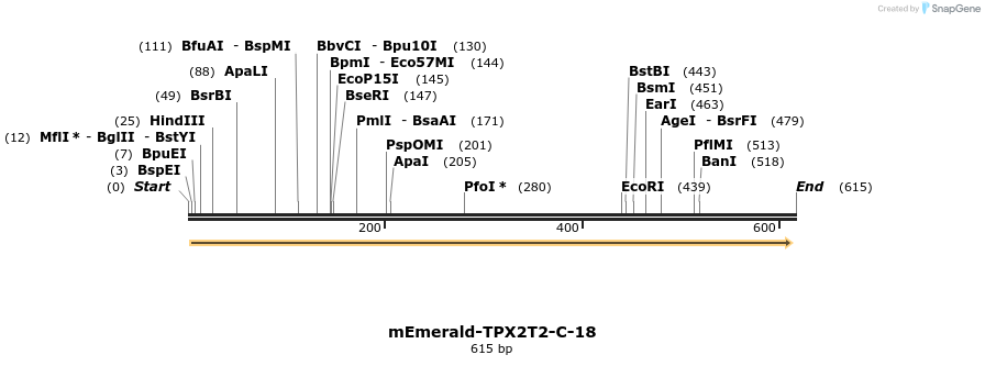 93173_map