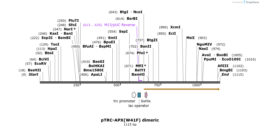 93176_map