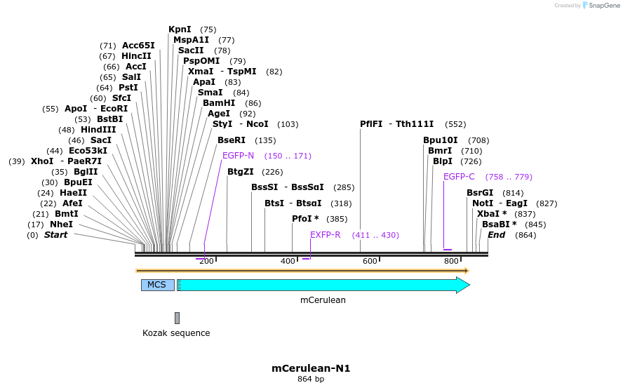93177_map