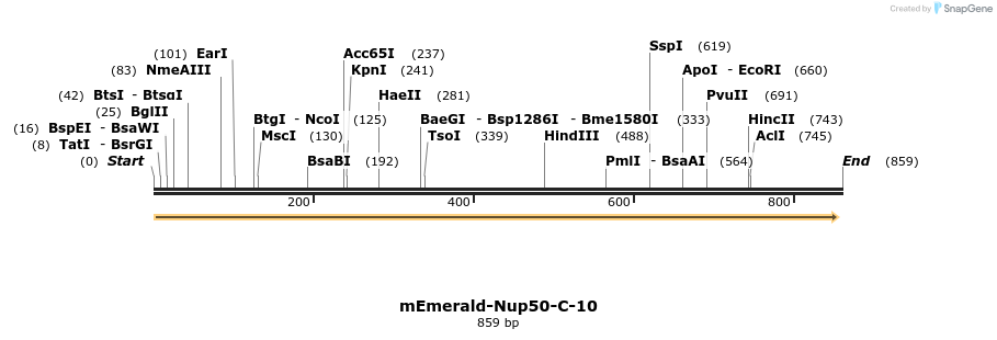 93178_map