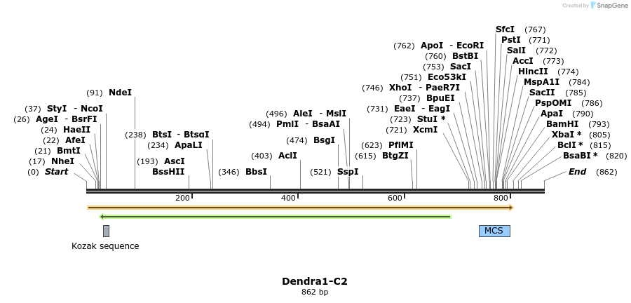 93181_map