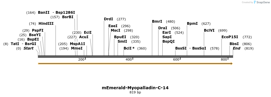 93183_map