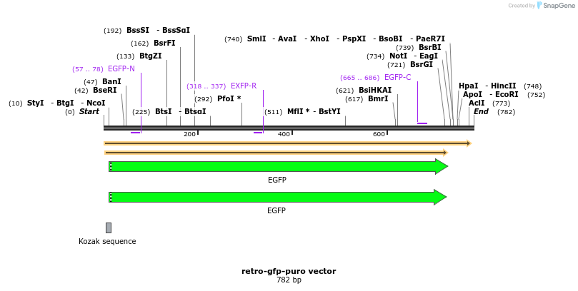 93189_map