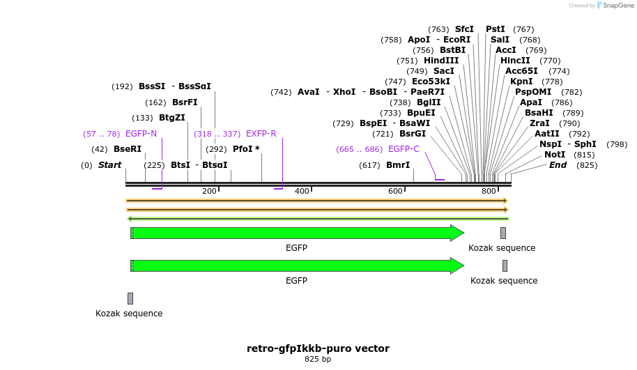 93192_map