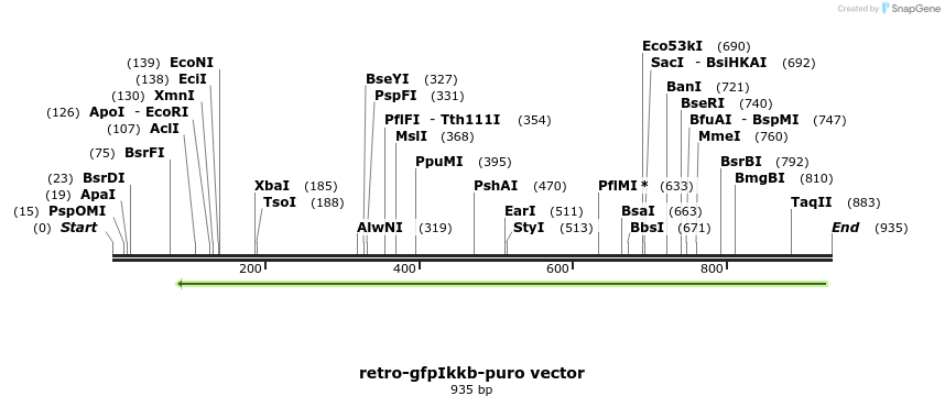 93193_map
